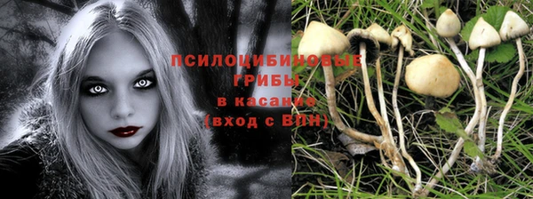кокаин Краснослободск