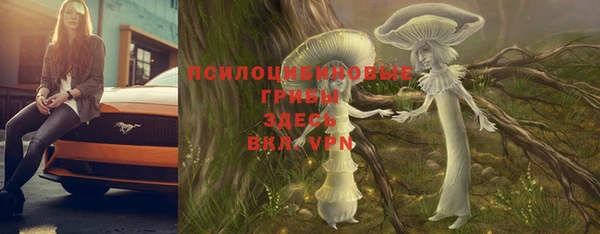 кокаин Краснослободск